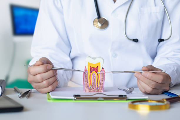 Best Urgent Dental Care for Toothaches in Wellman, IA